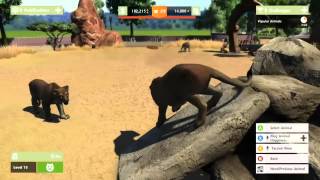 Zoo Ty - Take A Look At The Animals