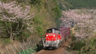 2010年4月3日 DD51 889号機(赤A更新)＋コキ 紀勢線2089レ
