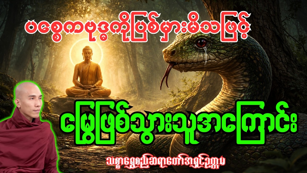 ပစ္စေကဗုဒ္ဓအရှင်မြတ်ကို ပြစ်မှားစော်ကားမိ၍ မြွေဖြစ်သွားသူအကြောင်း တရားတော် [ သစ္စာရွှေစည်ဆရာတော် ]