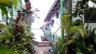 Download lagu Bocas Del Toro, Cocomo by the Sea In Isla Colon Bocas Town