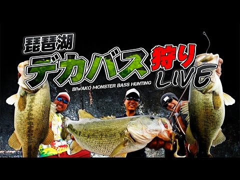 琵琶湖 バス釣り 大量 引退セット deps DRT DVD-琵琶湖デカバス狩りLIVE-ルアーニュース増刊号-琵琶湖のバス釣り