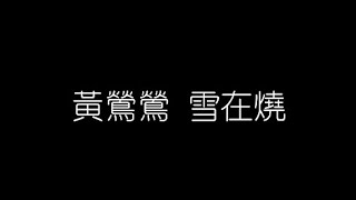 黃鶯鶯   雪在燒 無損音樂FLAC 歌詞LYRICS 純享