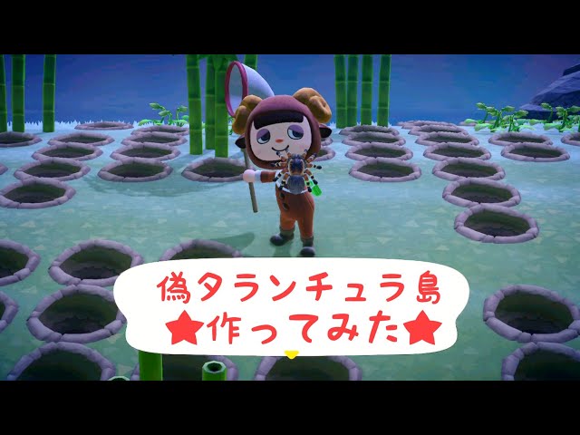 あつ森】偽タランチュラ島、リベンジ!! 離島に行って偽タランチュラ島