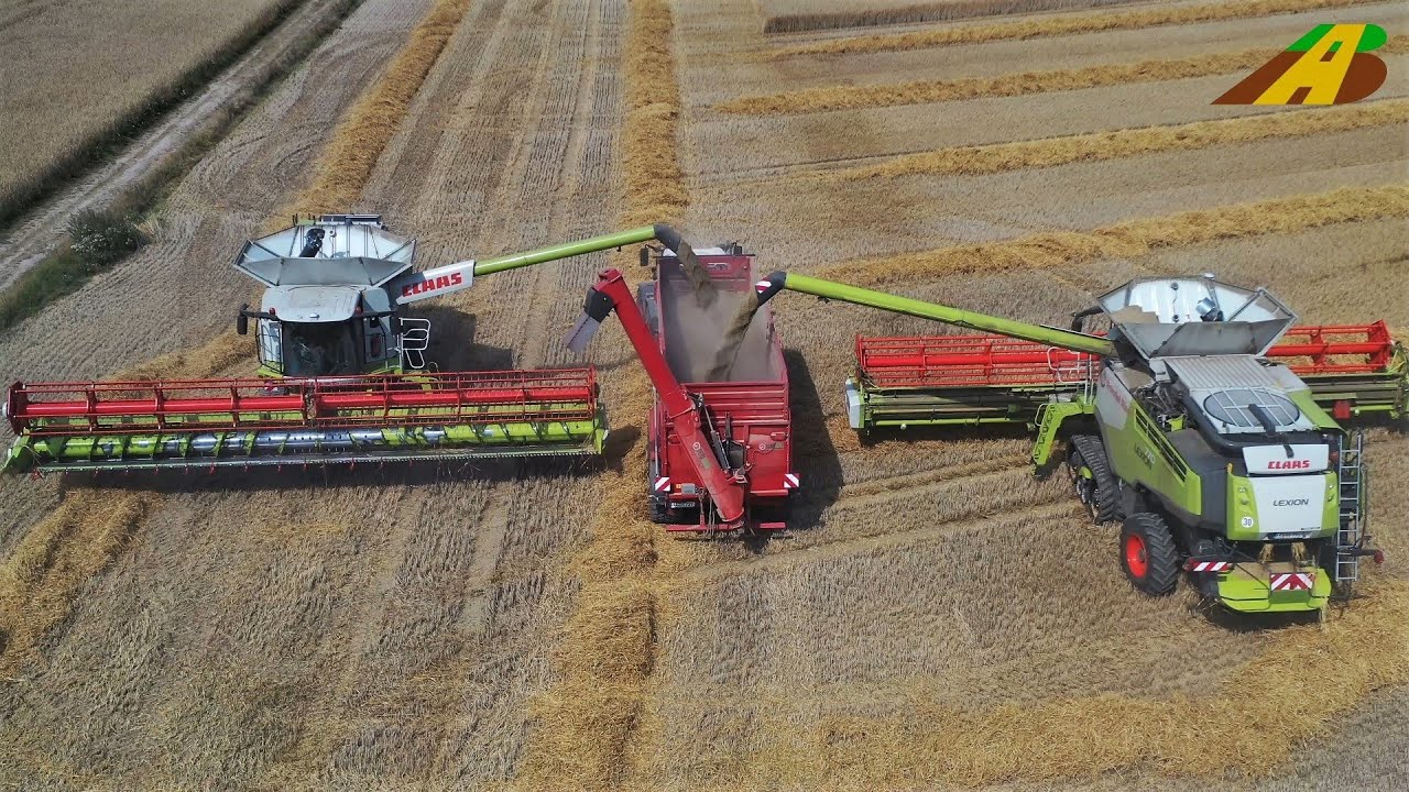 Getreideernte 2020 - Claas Lexion 770 & 780 im Großeinsatz - Lebensmittel aus der Landwirtschaft