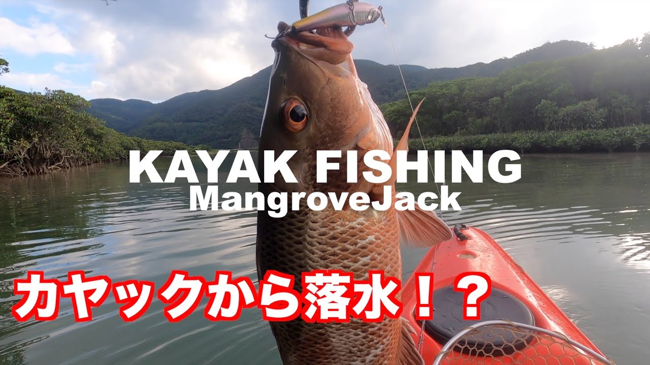 KAYAK マングローブジャック カヤックから落水！？