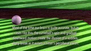 Testing Your Visual Acuity screenshot 4