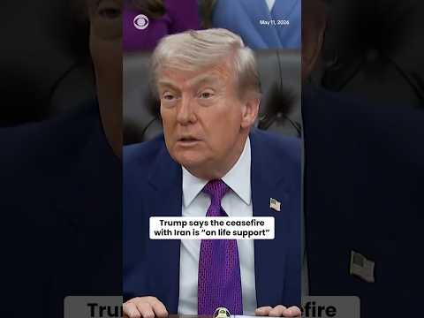 Us Free News