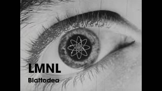 LMNL - Blattodea