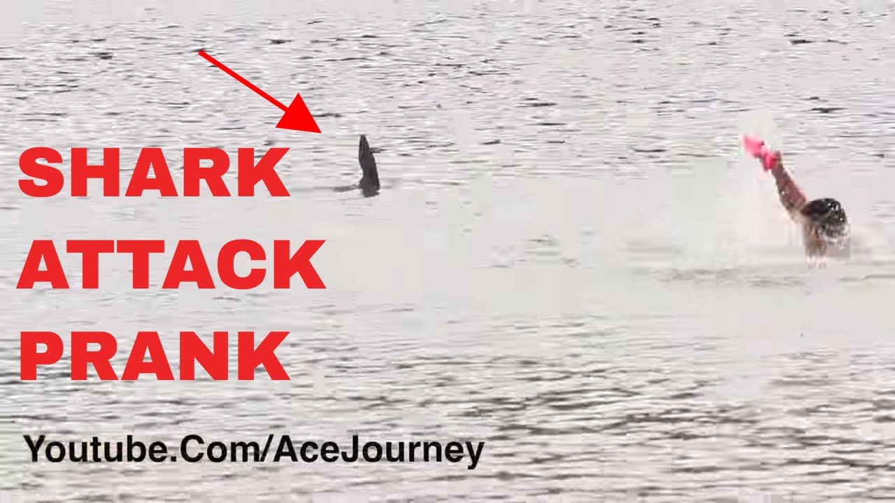 SHARK ATTACK PRANK! YouTube