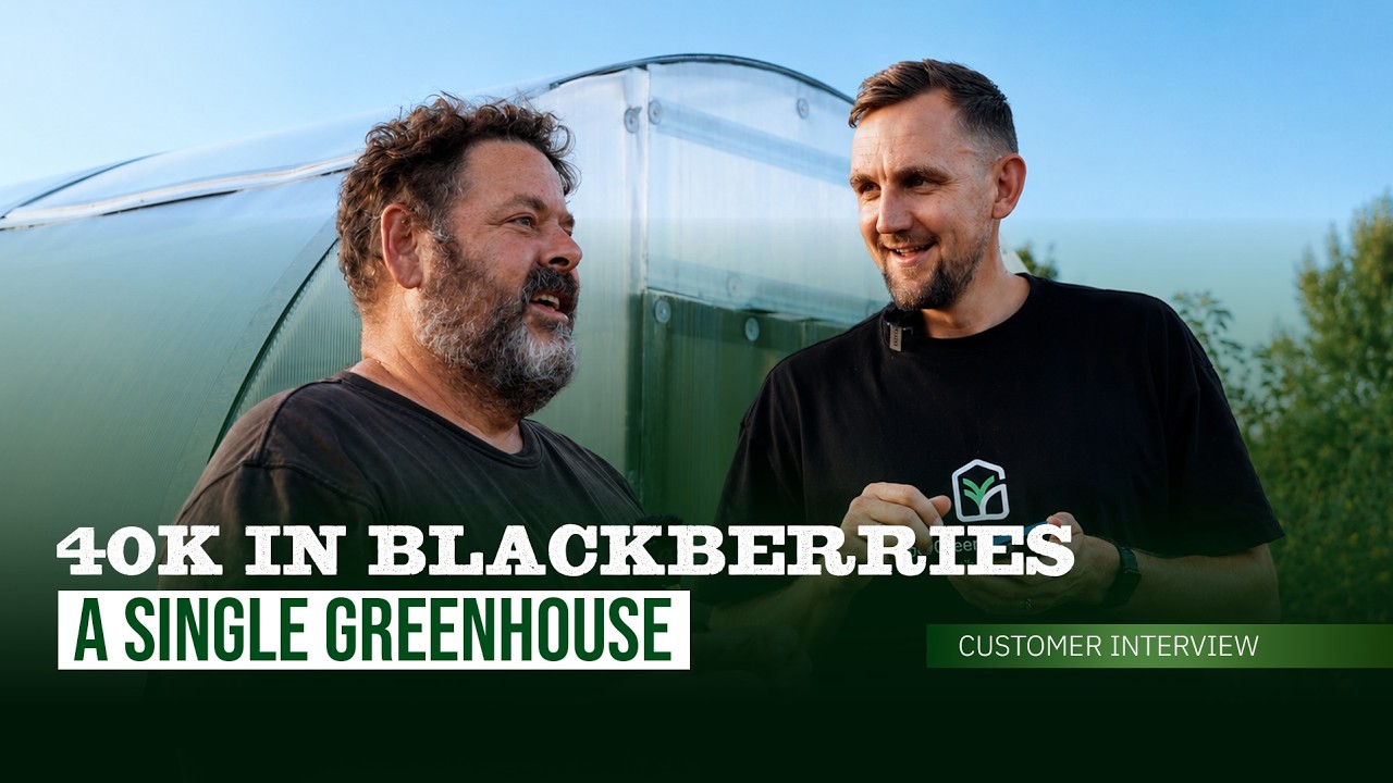 We Think We Can Make $40,000 in Blackberries