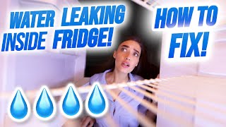 Water Leaking Inside Fridge. How to Fix it!