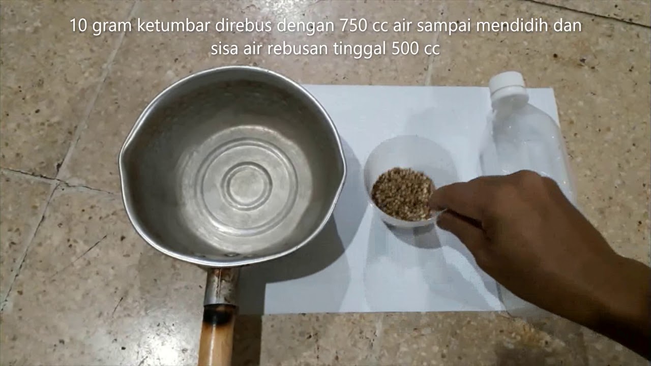 #01 Air Rebusan Ketumbar 