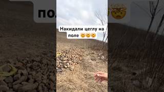Хто таке робить ?#tractor #farming #agriculture #farmlife #withme #shorts #agro