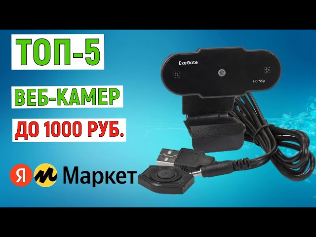 Yalangoch Anna Sedokova chizilgan