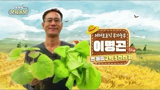 [169회] 에어로포닉스 농법으로 연 매출 2억 5천만 원! '세종시 이명곤 부자농부'