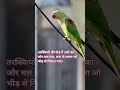 If u believe u believe✨️🦜 #viral #motivation#shorts #shortvideo #photography#parrot #birds #success