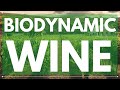 What is BIODYNAMIC WINE - Understanding the Biodynamic Vineyard and Winemaking practices