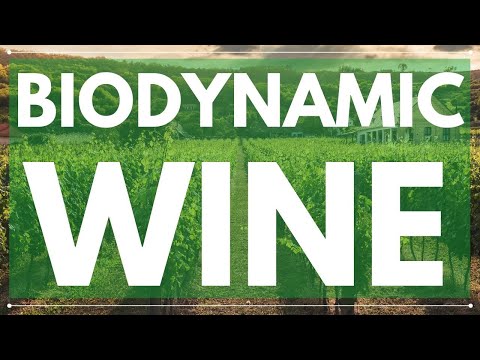 What is BIODYNAMIC WINE - Understanding the Biodynamic Vineyard and Winemaking practices