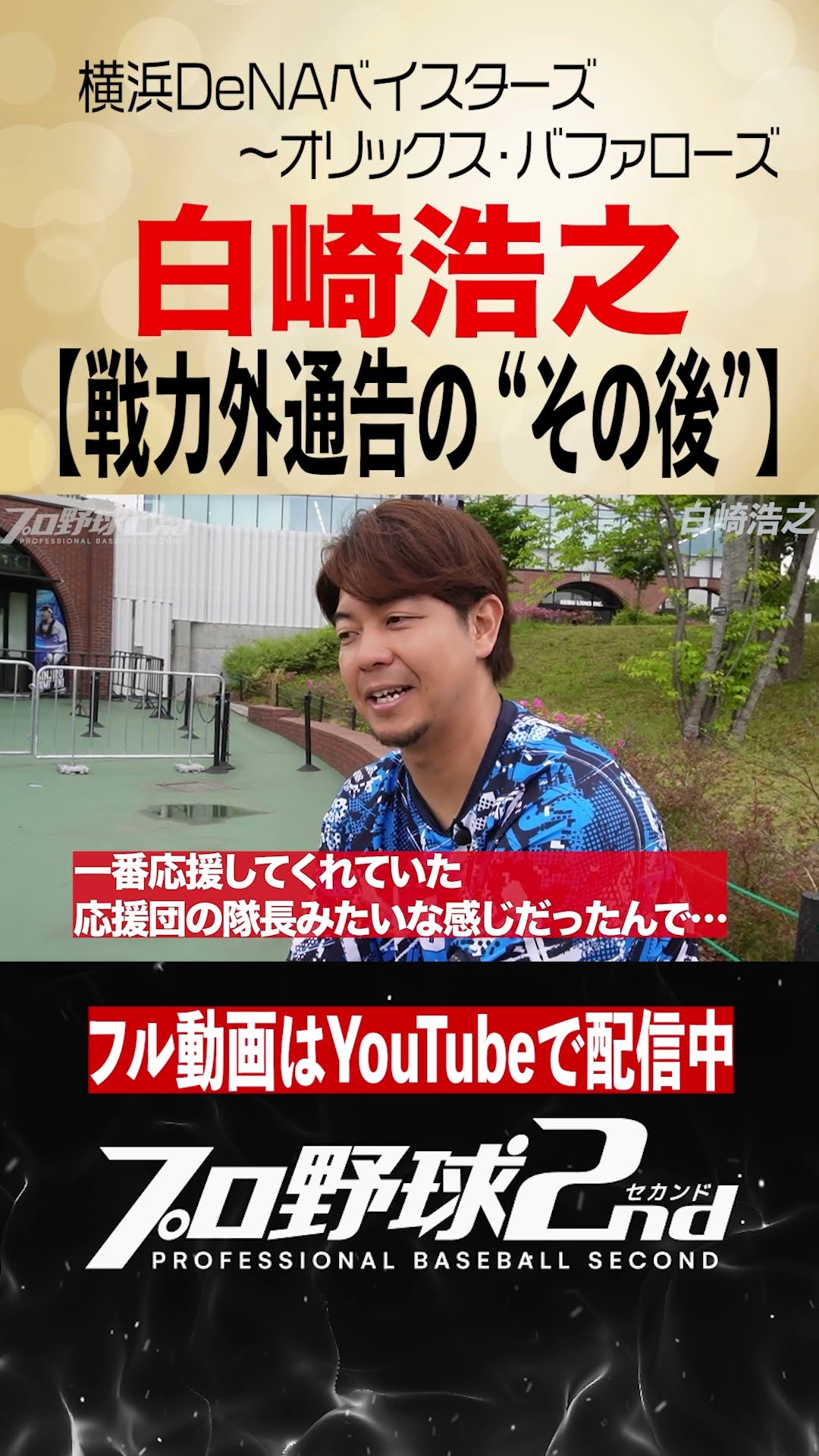 【価格応談】元オリックス、横浜DeNA 白崎浩之選手バット　NPBマーク入り 価格応談】元オリックス、横浜DeNA 白崎浩之選手バット NPB