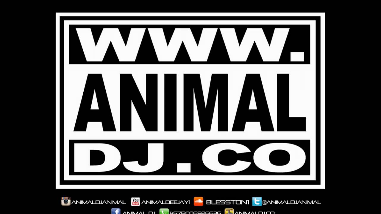 The Hitman 144 - Animal Dj (www.animaldj.co)