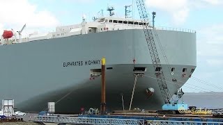 car carrier EUPHRATES HIGHWAY 3FHU5 IMO 9604926 embarking export cars in Emden Autotransporter