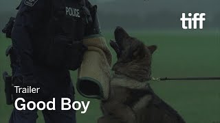Watch Good Boy Trailer