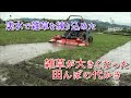 雑草が大きくなった田んぼの代かき①荒代
