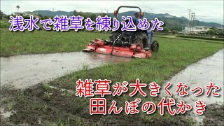 雑草が大きくなった田んぼの代かき①荒代