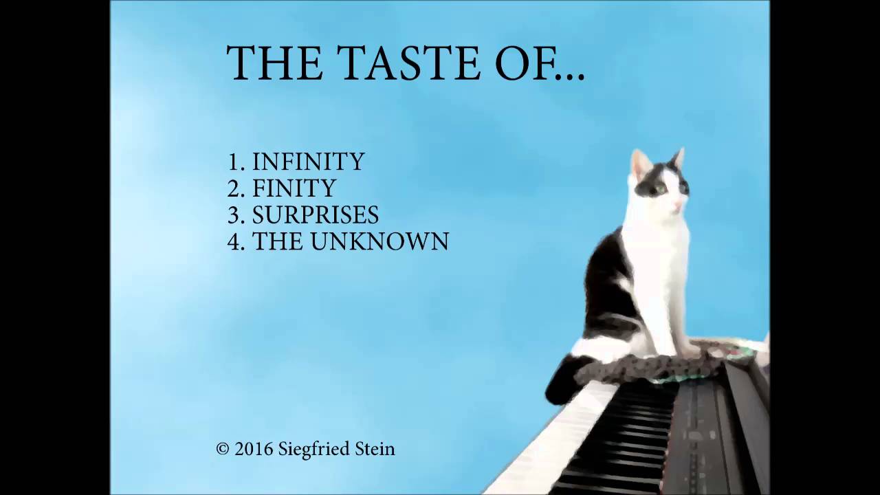 Siegfried Stein - The Taste of Finity