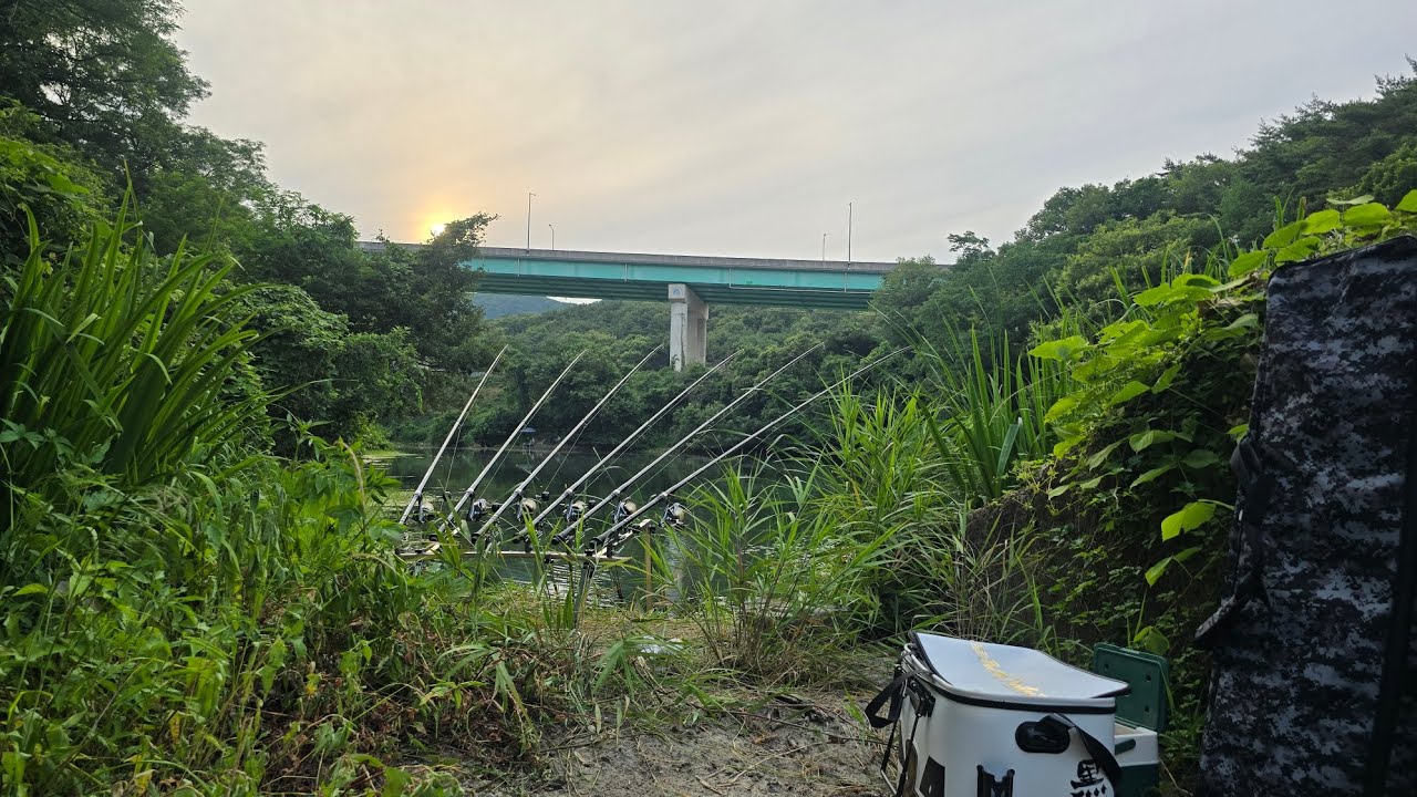 손이 덜탄 바다에서 가까운저수지 장어가 있을까?  #장어낚시 #ellfishing