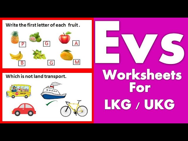 ukg evs worksheet evs worksheet for lkg part 1 kidz e learning youtube