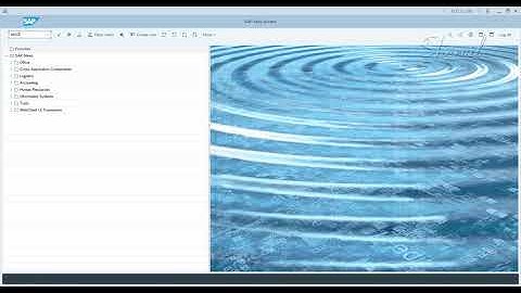 5. SAP GRC - EAM - Parameters - Plug in Systems