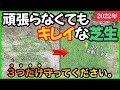 芝生が簡単な手入れでキレイになる方法3選！コツをつかんで賢く楽しもう！