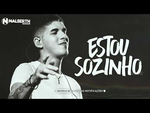 ZÉ VAQUEIRO -ESTOU SOZINHO - ESPECIAL PRA TOMAR UMA