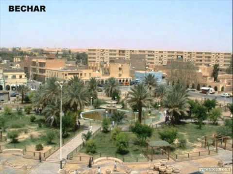 فى دكرى وفاة الطاهر البشاري 08 