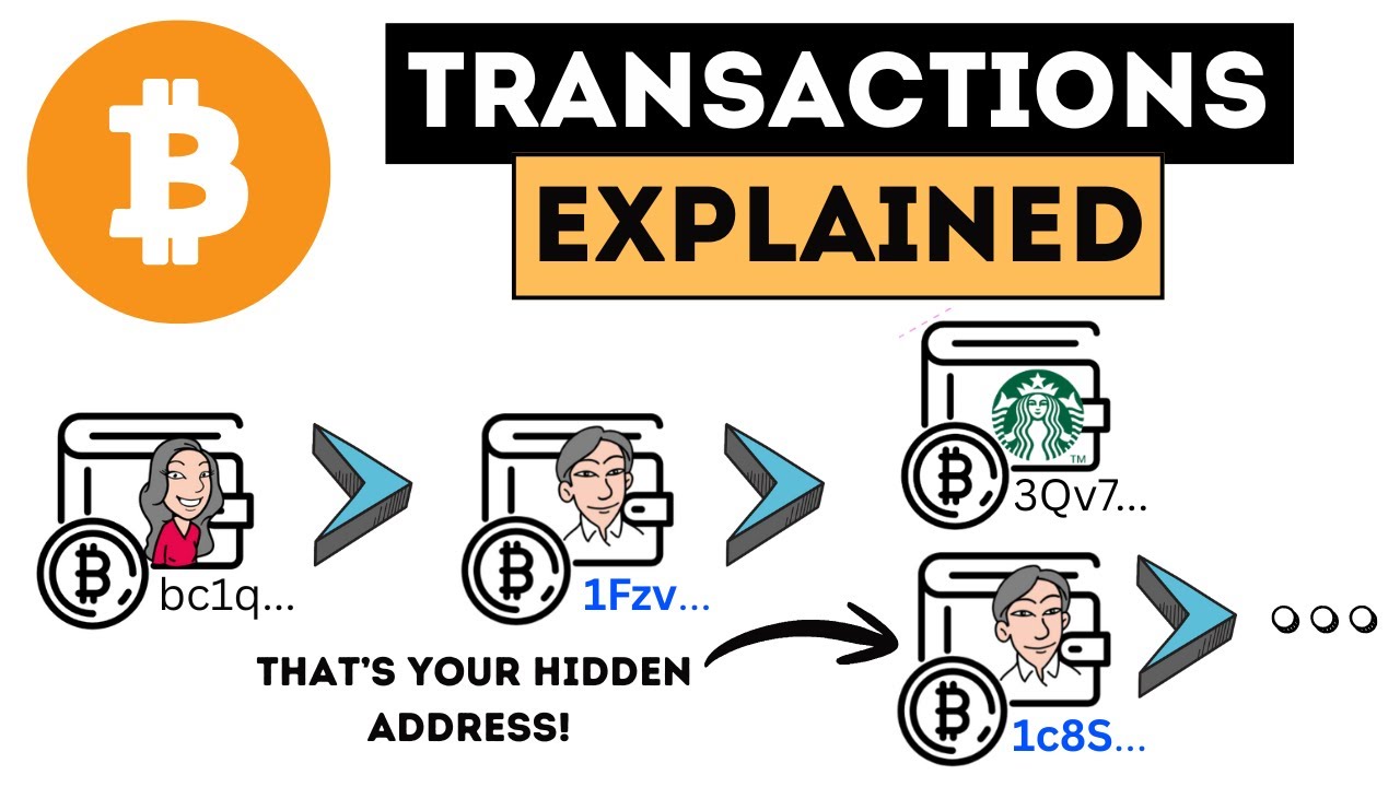 Btc Transaction Guide How to Read Bitcoin Transactions (Beginner Guide) - YouTube