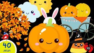 Peekaboo Pumpkin Fun | 40 Min Autumn Baby Sensory with Soothing Music