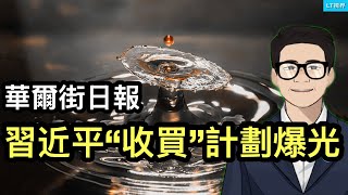 華爾街日報,習近平的“收買”計畫被爆光;中國首富變“老賴”,八卦背後的殘酷社會現實;為何西貝成了“全民公敵”?
