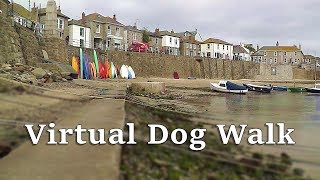 TV for Dogs : Walking Your Dog TV : Virtual Dog Walk around Mousehole Cornwall