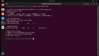 Q1.1 — Manual Recursive DNS Lookup for www.example.com Dns Lookup Adv Java Project Part 1