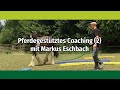 Pferdegestütztes Coaching mit Markus Eschbach (2)