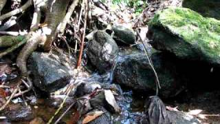 Image 160.avi