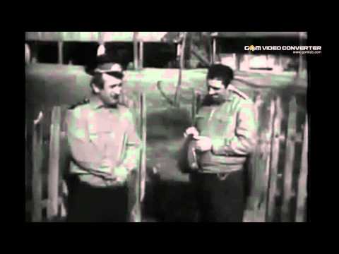 რეკორდი 1973   შოუ