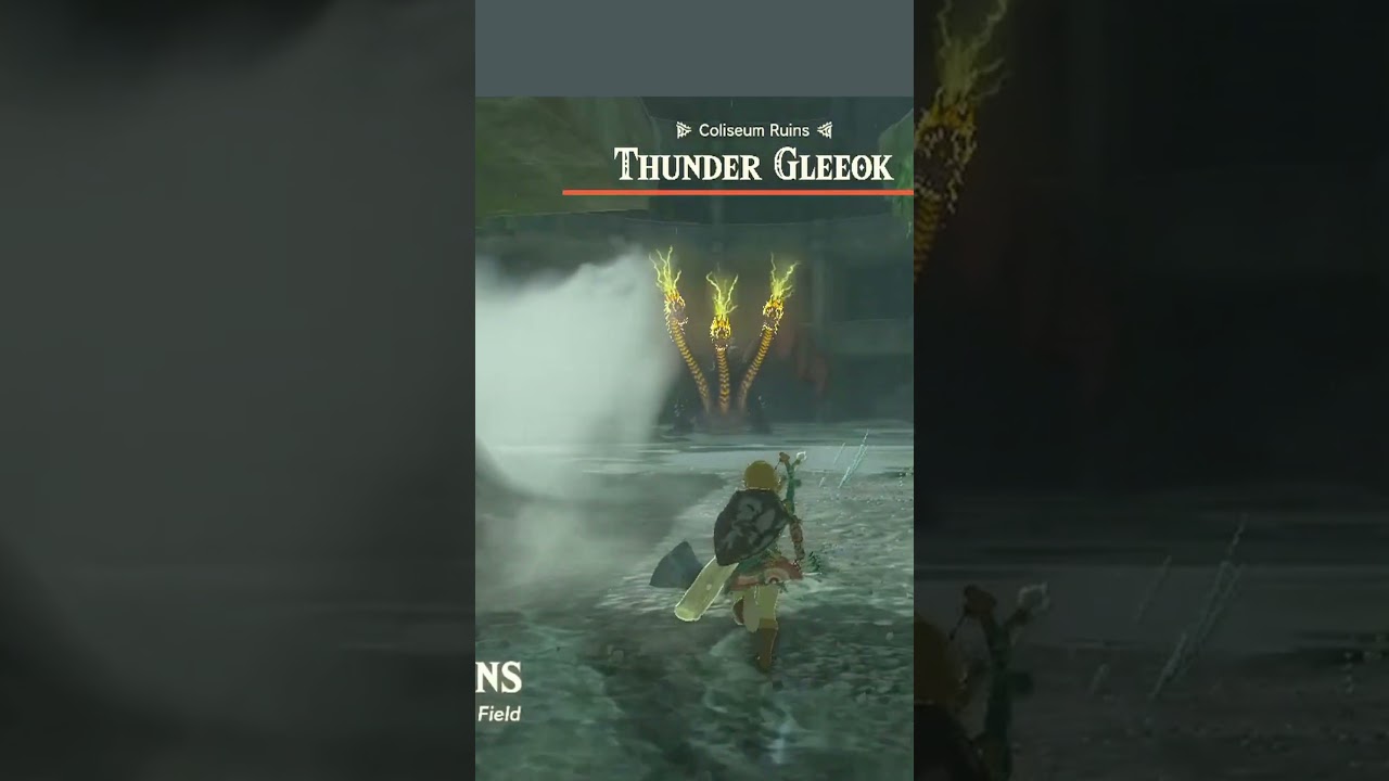 First time seeing Gleeok - Zelda TOTK