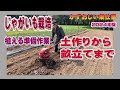 ジャガイモ畑の土作りから畝立てまで：2024年版じゃがいも栽培