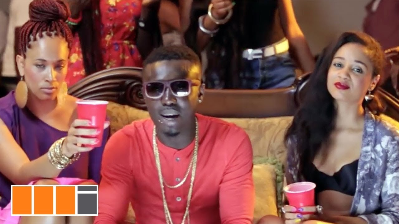 Criss Waddle R2Bees   Ayi ft Bisa Kdei Official Video