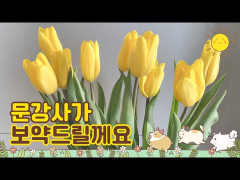 #노래강사문인옥 #보약같은친구#문인옥강사와함께