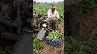 spinach packaging #farmer #ai #trending #spinach #packagingmachine
