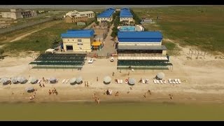 Самое опасное животное на пляже (смотреть Всем) Самое опасное животное на пляже (смотреть Всем)