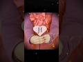 H Name Love Status H Name Short Video Neture Viral H Name Love Status H Name Short Video Neture Viral